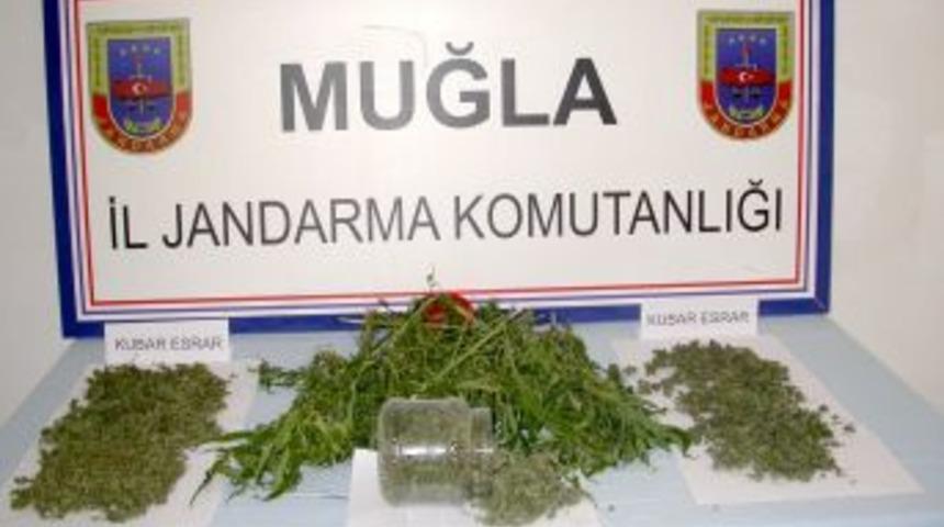 Muğla'da 2,5 Kg Esrar Maddesi Ele Ge&ccedil;irildi