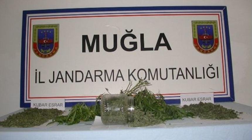 Jandarma&rsquo;dan Esrar Operasyonu