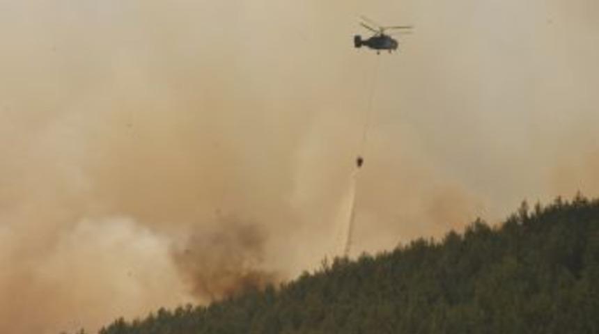 Osmaniye'de 100 Hektar Orman Yandı