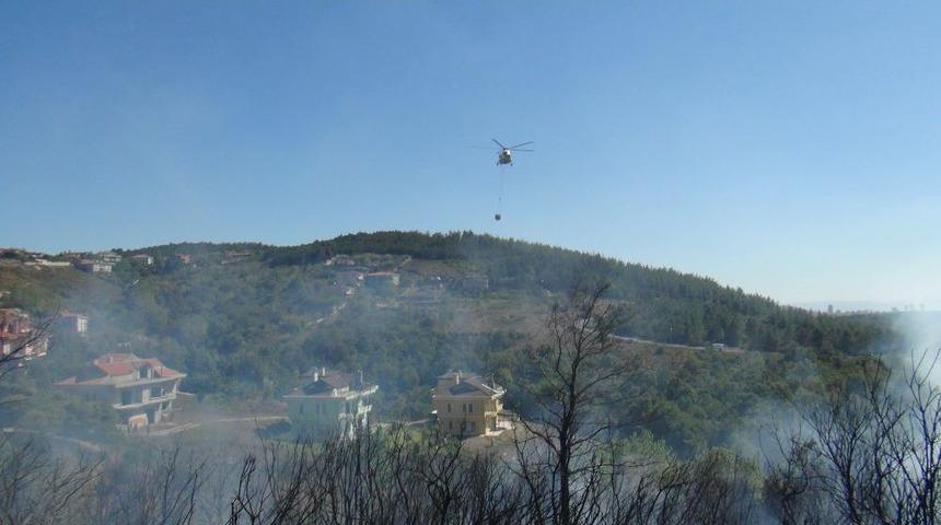 Orman Yangınında Arılar Ve Tavuklar Telef Oldu
