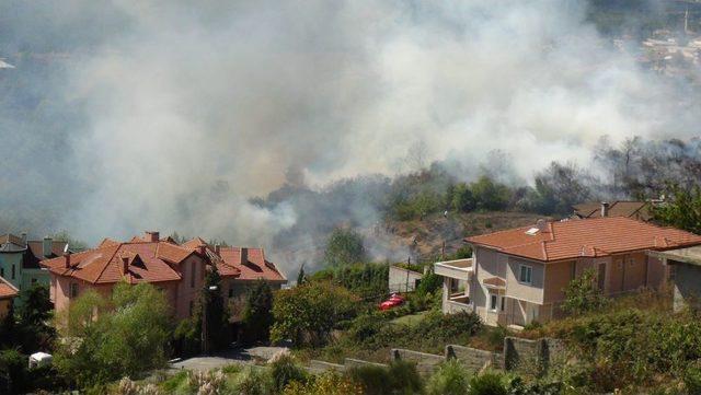Orman Yangınında Arılar Ve Tavuklar Telef Oldu 2