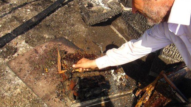 Orman Yangınında Arılar Ve Tavuklar Telef Oldu 3