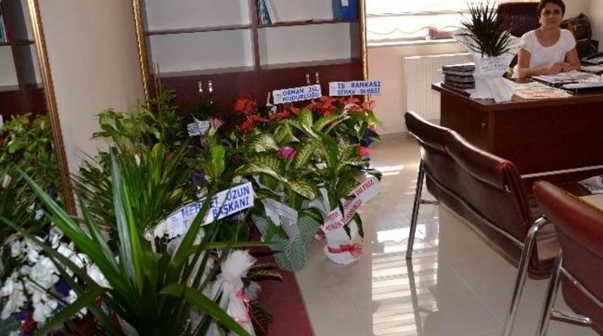Kaymakamlık &Ccedil;i&ccedil;ek Bah&ccedil;esi Oldu
