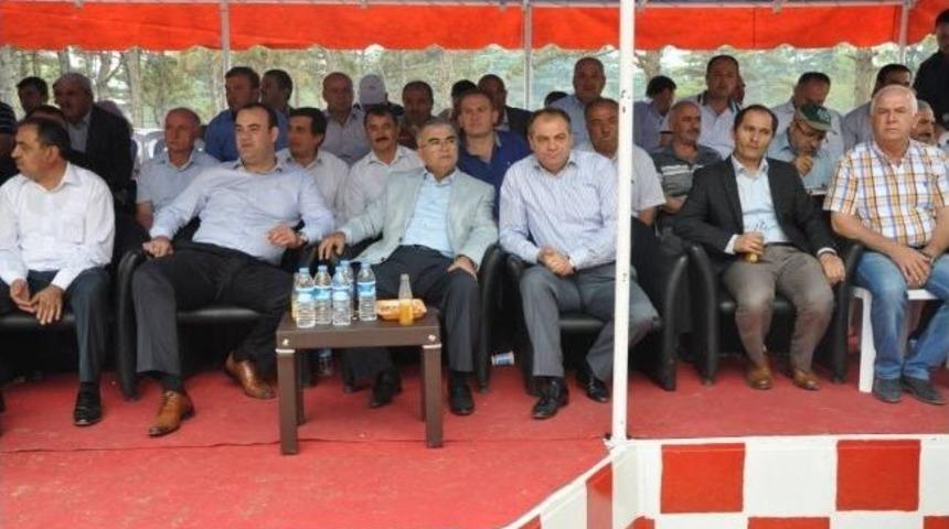 Başkan Dalgı&ccedil; &Ccedil;orlu Sinoplular Derneği'nin Şenliğine Katıldı