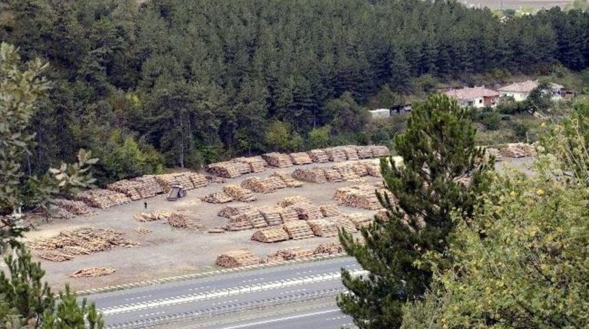 K&ouml;yl&uuml;ler Hatıra Ormanı İ&ccedil;in Ayaklandı