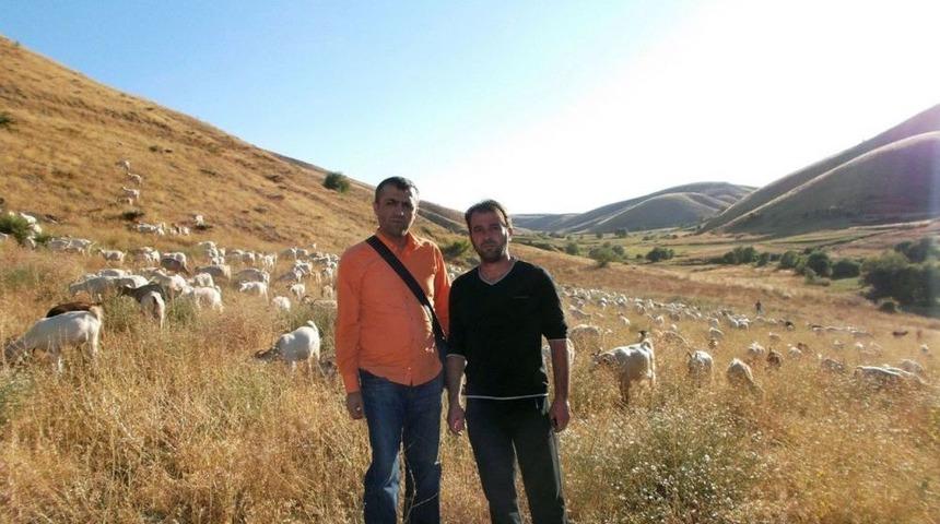 Malatya'da Yetiştiricilere Ana&ccedil; Koyun Ke&ccedil;i Destekleri Anlatıldı