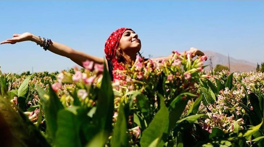 Malatyalı Fotoğraf&ccedil;ılar T&uuml;t&uuml;n Hasadını Fotoğrafladı