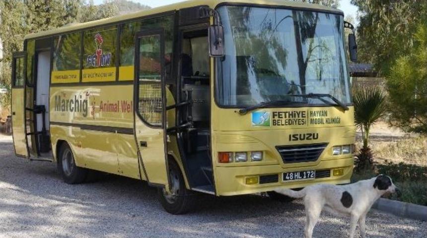 Fethiye Belediyesi&rsquo;nden Muğla&rsquo;ya &Ouml;rnek Hizmet