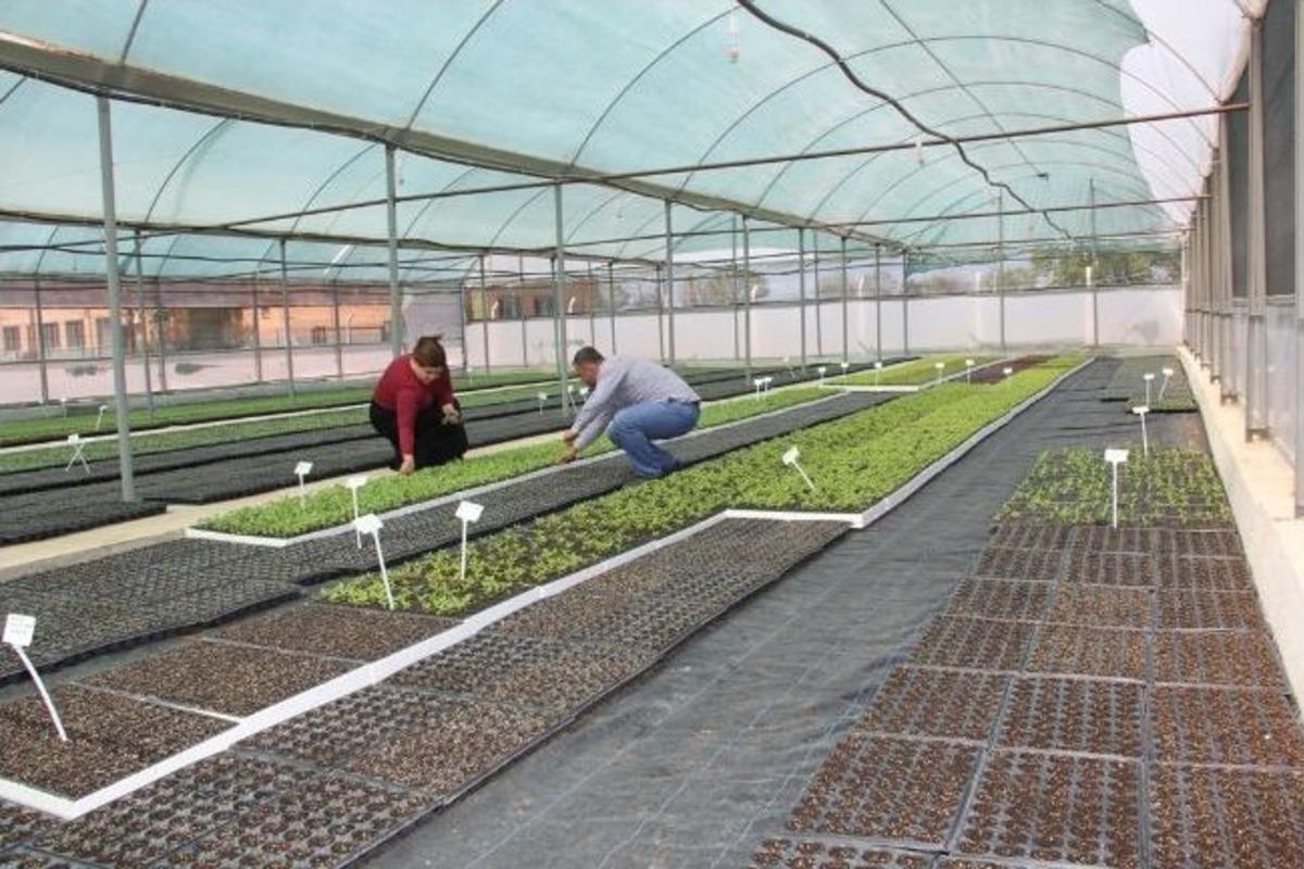 Başkan Tursun, &ldquo;biz Geleceği İnşa Ediyoruz&rdquo;