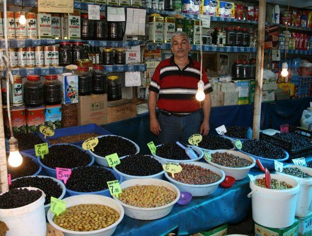 Zeytin Sineği Ile Mücadele Dönemi Başladı