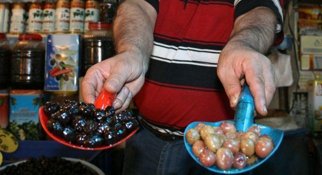 Zeytin Sineği Ile Mücadele Dönemi Başladı