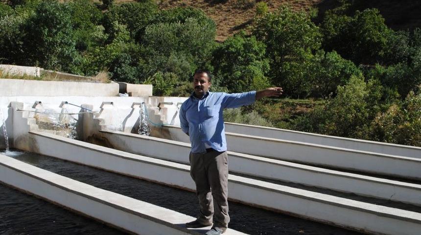 Hakkarili Işletmeci Hem Balık Hem De Elektrik &Uuml;retiyor