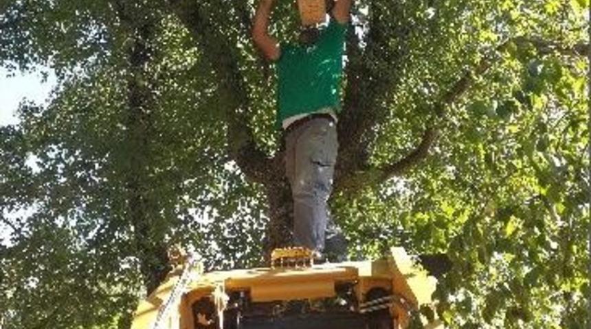 Kızılcıklık Mahallesine Doğal Yaşam Alanı Kuruldu