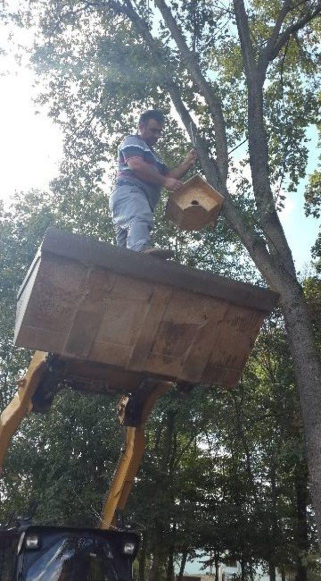 Kızılcıklık Mahallesine Doğal Yaşam Alanı Kuruldu 1