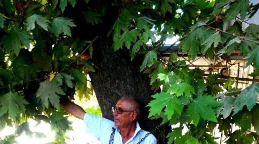 Sarıg&ouml;l'de &Ccedil;evreci Eylem