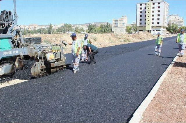 Asfaltlama Çalışmaları Başladı