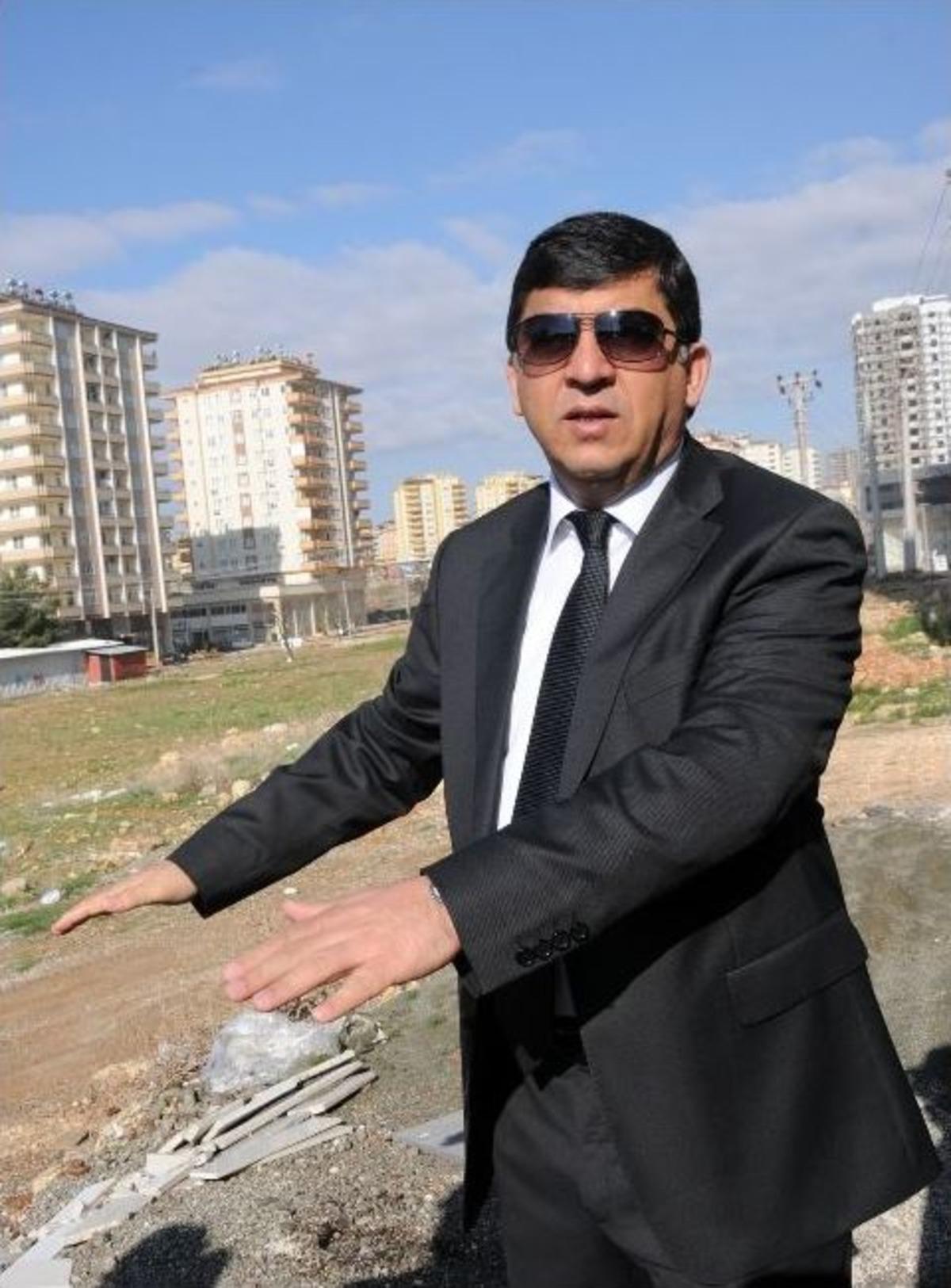 Katiphoca Caddesi G&ouml;renleri Şaşırtıyor