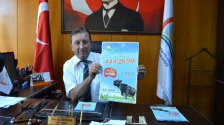 Alanya&rsquo;da &ldquo;alo K&uuml;pe Hattı&rdquo;