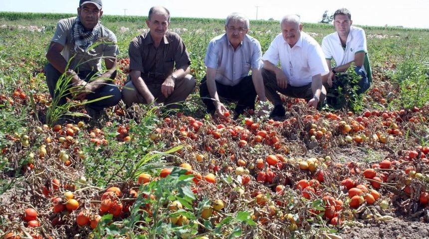 "Sal&ccedil;a Fabrikaları, G&uuml;n Gelecek Bu &Ccedil;ift&ccedil;iyi Bulamayacak"