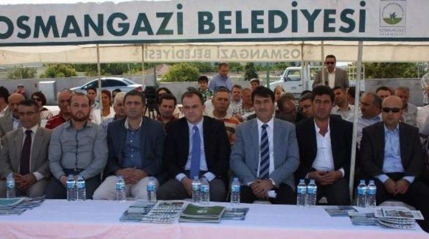 Osmangazi'ye Bir Pazar Yeri Daha