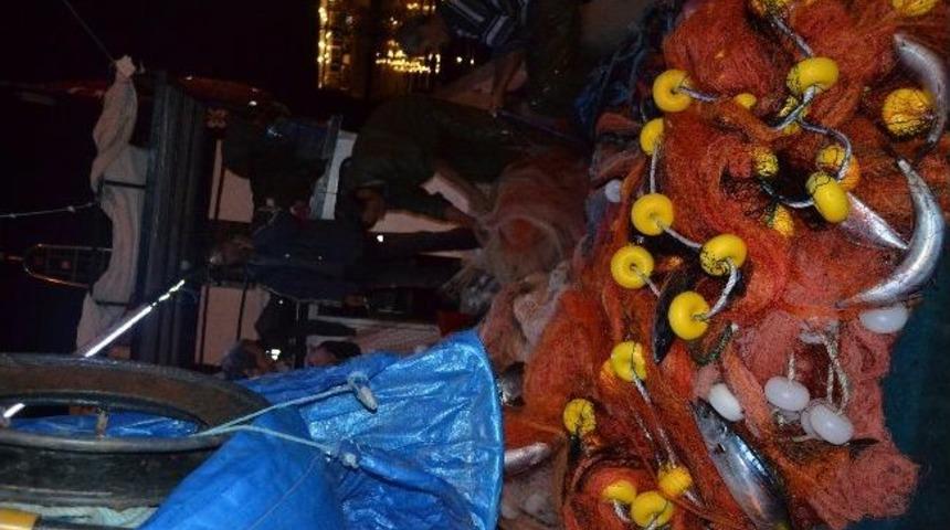 Gelibolu&rsquo;da Palamut Bereketi