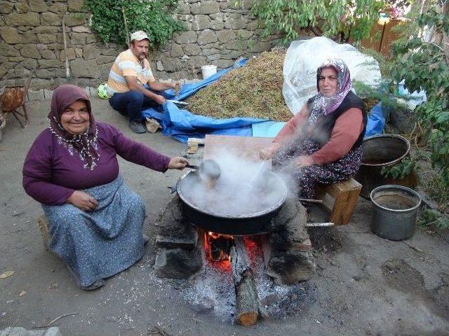 Yozgat’ta Bağ Bozumu Başladı