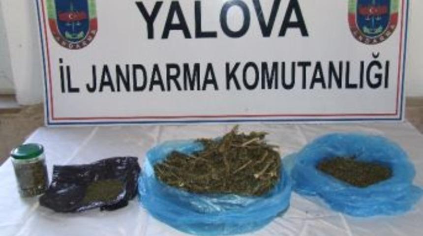 Yalova'da Uyuşturucu Operasyonu
