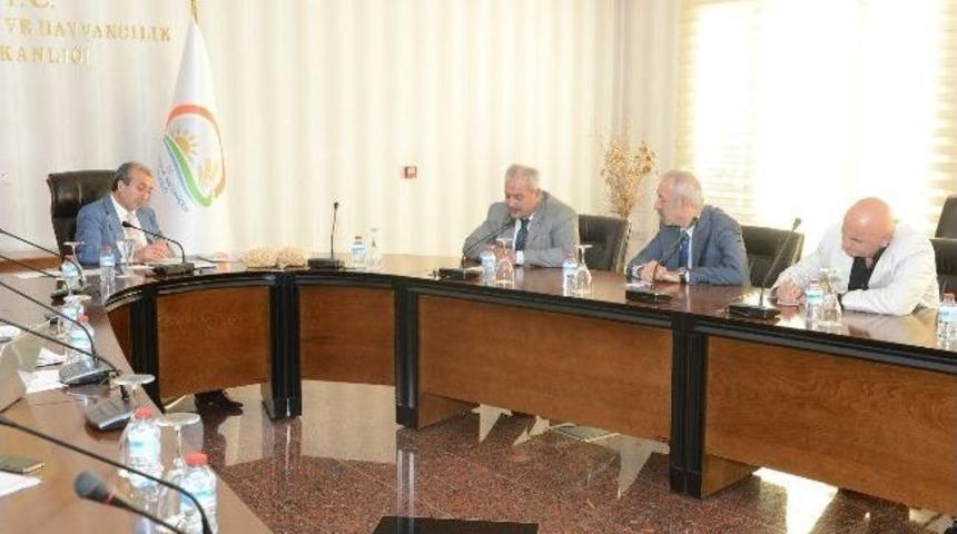 Fındıkta Verim, Ankara&rsquo;da Masaya Yatırıldı