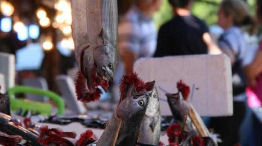 Balık&ccedil;ı Avın Artmasını, Vatandaş Fiyatların D&uuml;şmesini Bekliyor