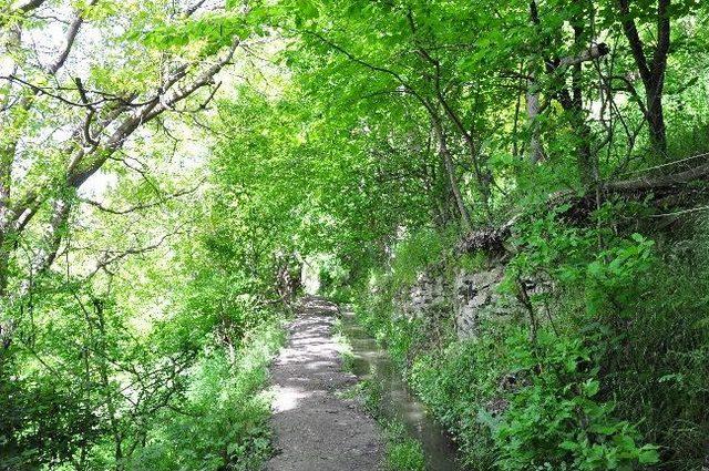 Said-i Nursi nin Doğduğu Ev Restore Edilecek 1