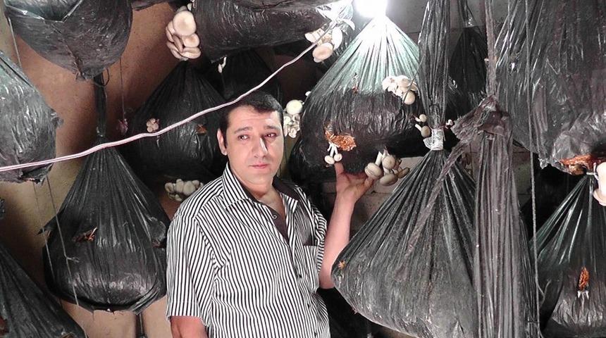 Tavana Astığı Plastik Torbalarda Istiridye Mantarı &Uuml;retiyor