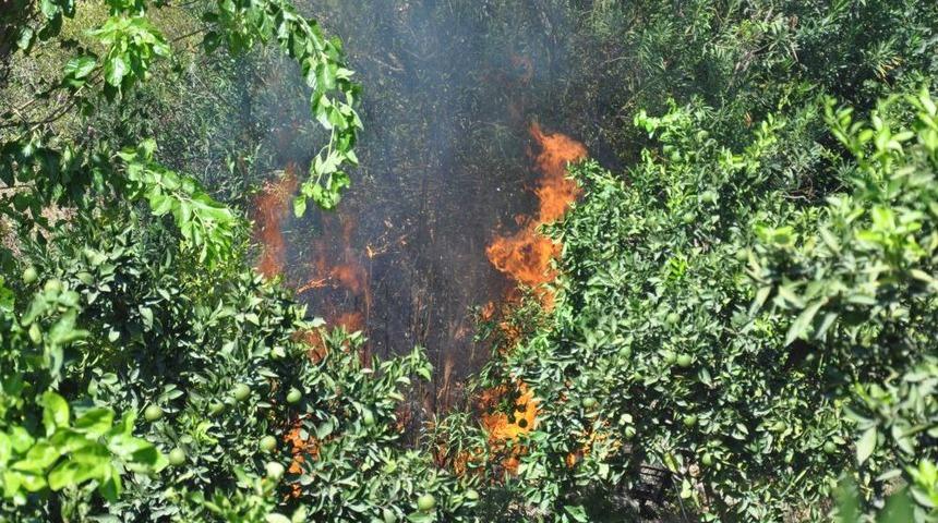 &Ccedil;ocukların Attığı Sigara Izmariti K&ouml;y&uuml; Yakıyordu