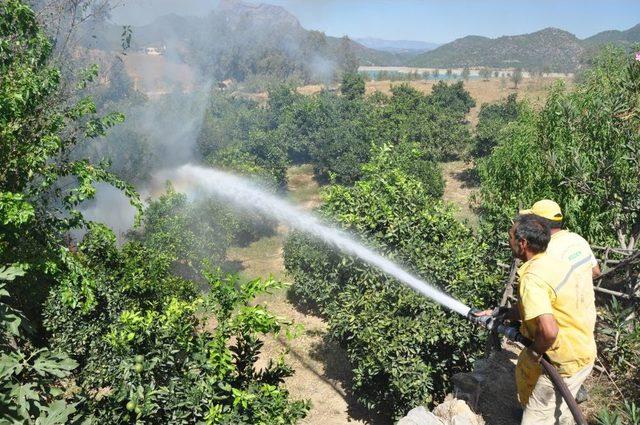 &Ccedil;ocukların Attığı Sigara Izmariti K&ouml;y&uuml; Yakıyordu 2