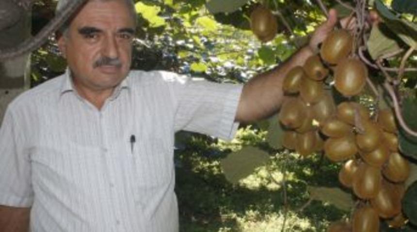 &rdquo;destek Verilirse, T&uuml;rkiye&rsquo;nin Kivi İhtiyacını Karşılarız&rdquo;