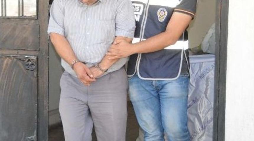 Mısır Yerine Kenevir Ektiler