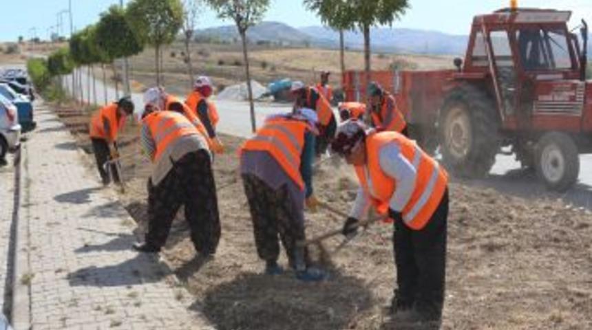Elmadağ Belediyesi Sonbahar Temizliğine Başladı