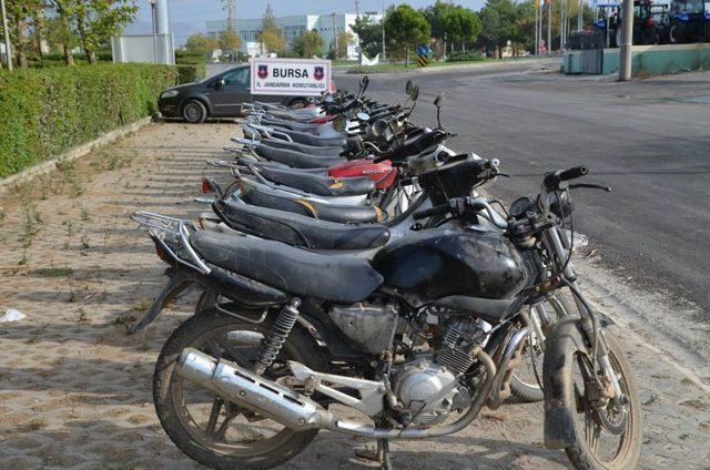 Motosiklet Faresi 18 Çalıntı Motosikletle Birlikte Yakalandı