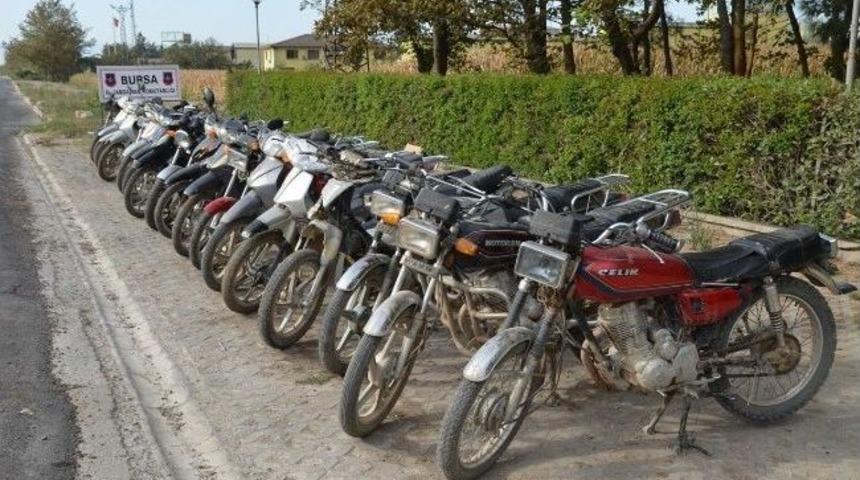 Hırsızın Motosiklet Koleksiyonu