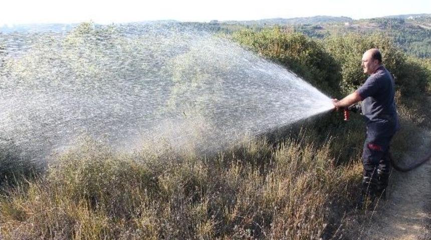 İzmit&rsquo;te 40 D&ouml;n&uuml;ml&uuml;k Alan K&uuml;l Oldu