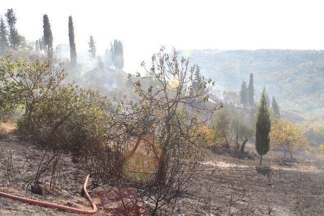 İzmit’te 40 Dönümlük Alan Kül Oldu