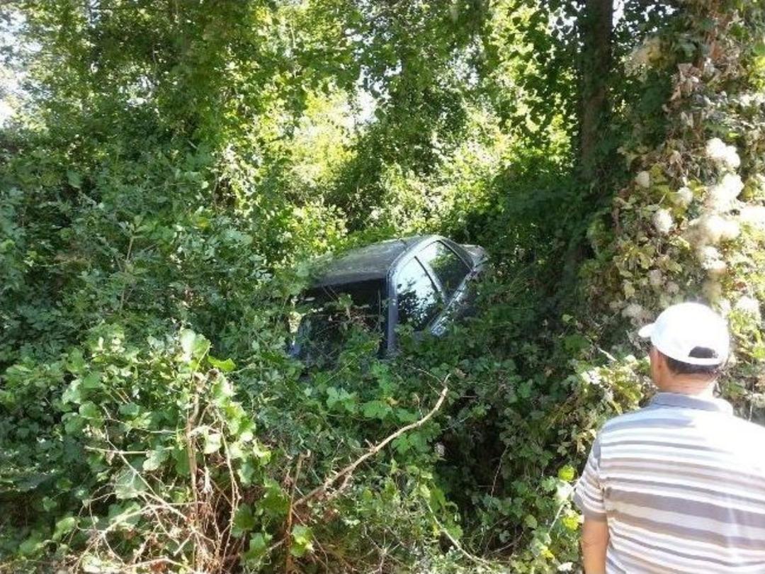 &Ccedil;alıların Arasına U&ccedil;an Ara&ccedil;tan Yara Almadan &Ccedil;ıktılar