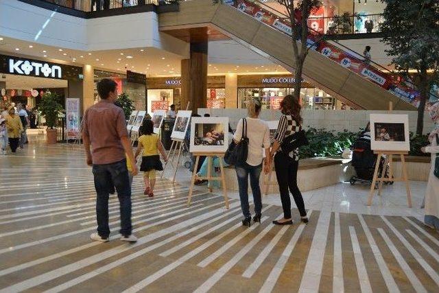 G&uuml;l&uuml;mseten Sergi 1