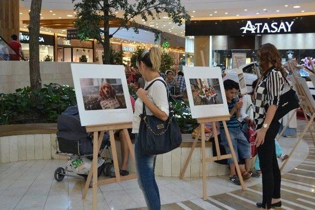 G&uuml;l&uuml;mseten Sergi 2