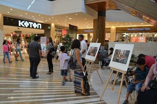 G&uuml;l&uuml;mseten Sergi 3