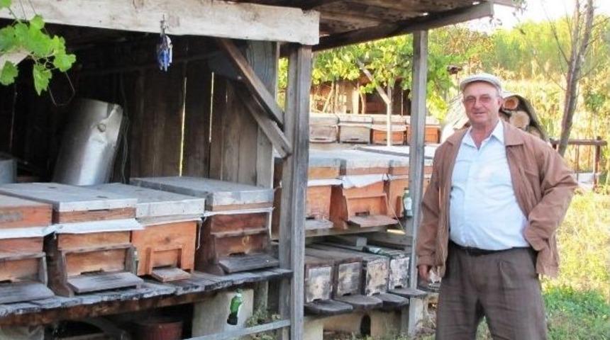 Kuraklık Bal Verimini D&uuml;ş&uuml;rd&uuml;