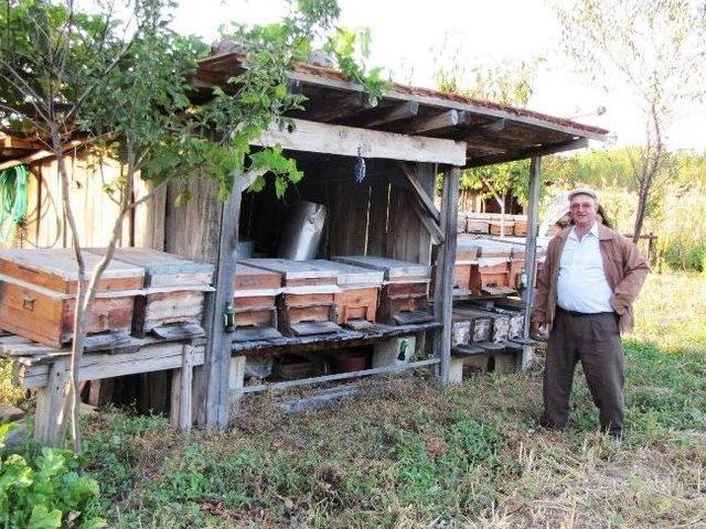 Kuraklık Bal Verimini D&uuml;ş&uuml;rd&uuml; 1