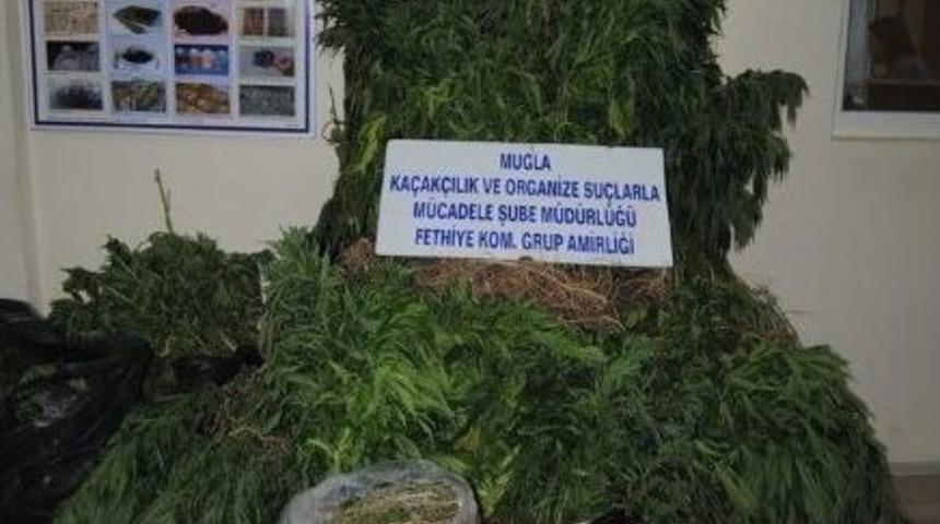 Seydikemer'de Uyuşturucu Operasyonu