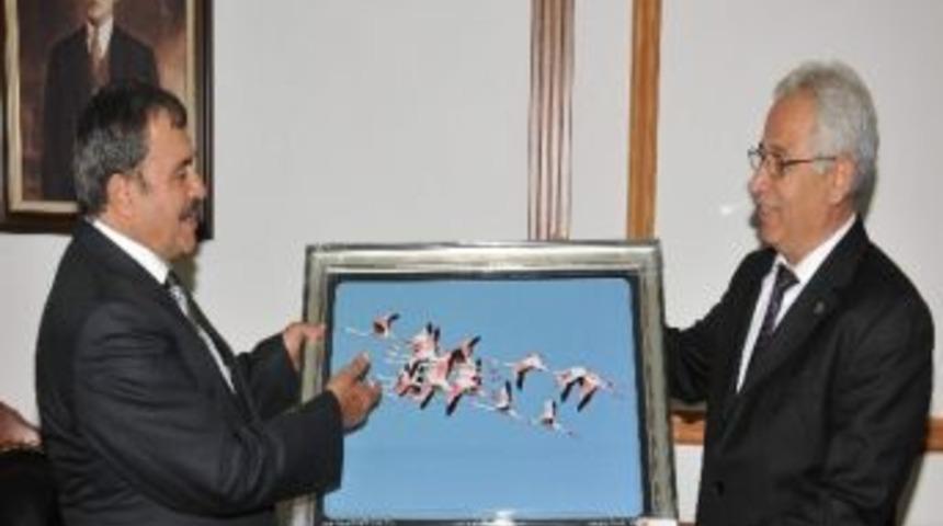 Saklı Cennet Seyfe&rsquo;ye Bakan Eroğlundan Destek