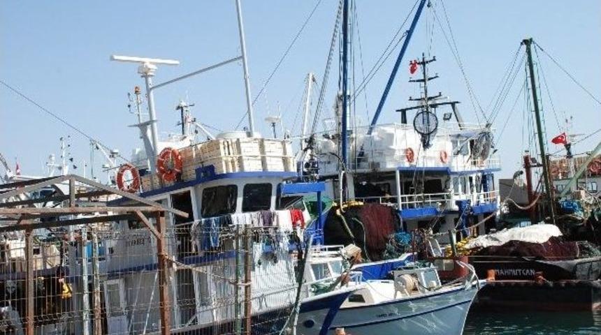 Didim&rsquo;de Balık&ccedil;ılar Balık Bolluğundan Memnun