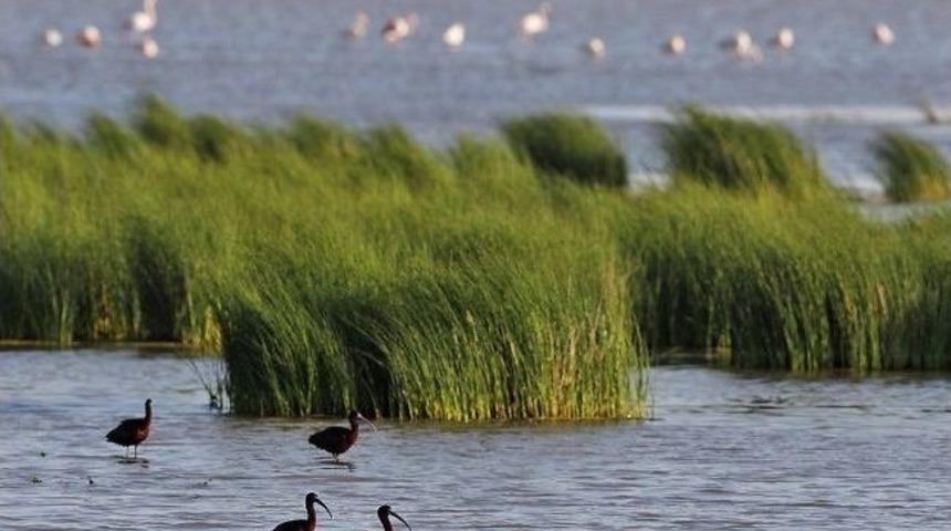 İzmir Tuzla Kuşcenneti'ne Cansuyu Bakanlık'tan